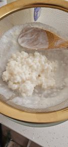 Kefir grains