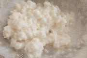 Kefir grains