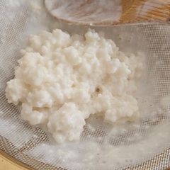 Kefir grains