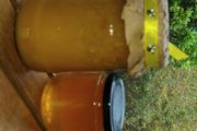 Genuine pure raw 100% Irish Honey straight from a beekeeper -Donegal.