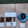 Antique Slotted head wood screws Image 5