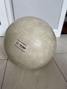 Pregnancy exercise/birthing ball