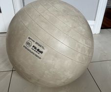 Pregnancy exercise/birthing ball
