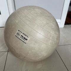 Pregnancy exercise/birthing ball