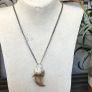 1 Prehistoric Bear Claw Talisman on a Sterling Silver Belcher Chain Image 3