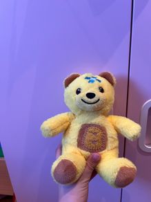 teddy