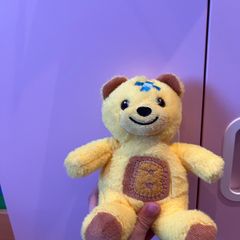 teddy