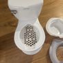 potty training Image 8