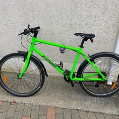 Frog Bike