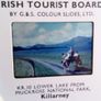 Photographic Slide. Lower Lake Muckross National Park Image 2