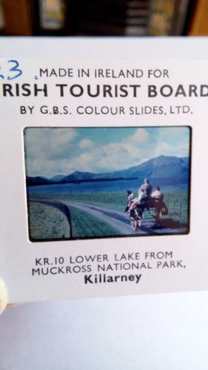 Photographic Slide. Lower Lake Muckross National Park
