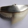 Vintage Sterling Silver Mounted Sharks Tooth Pendant Image 9