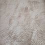 rug Image 6