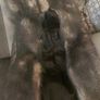 Fur leather coat.New.size 10 Image 5