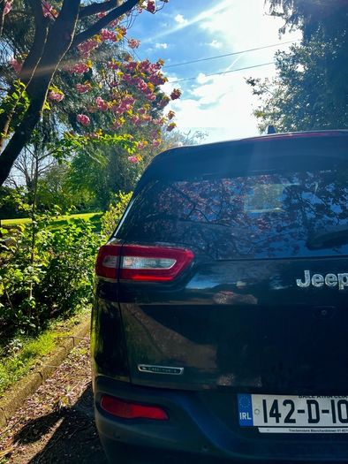 2014 Jeep Cherokee