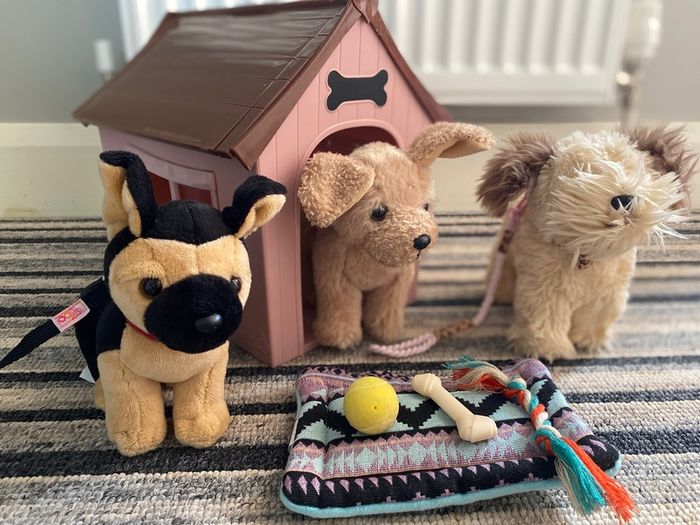 Our generation dogs set