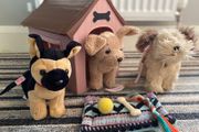 Our generation dogs set