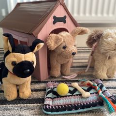 Our generation dogs set