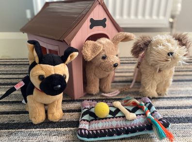 Our generation dogs set