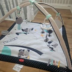 tiny love play mat