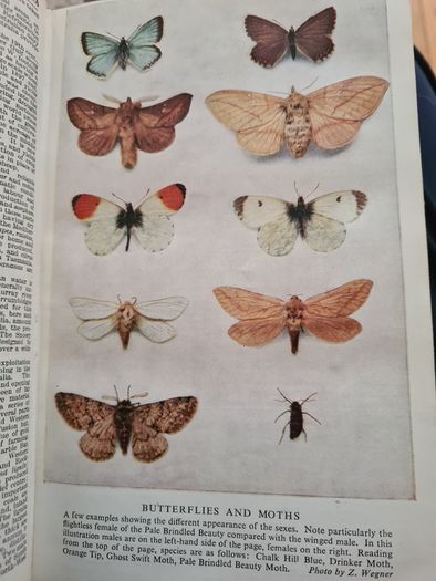 The Modern University Encyclopaedia  1957 LARGE VOLUME BOOK.
