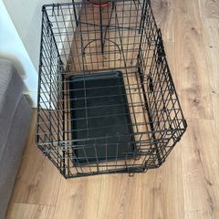 small dogs crate