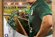 2013 Ireland v Australia - November International Programme