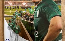 2013 Ireland v Australia - November International Programme