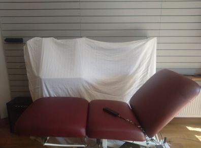 Electric three section therapy bed-Priced to sell