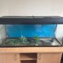 fish tank Image 4