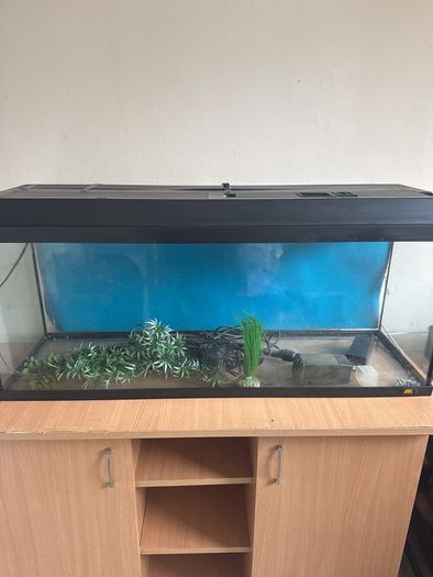 fish tank