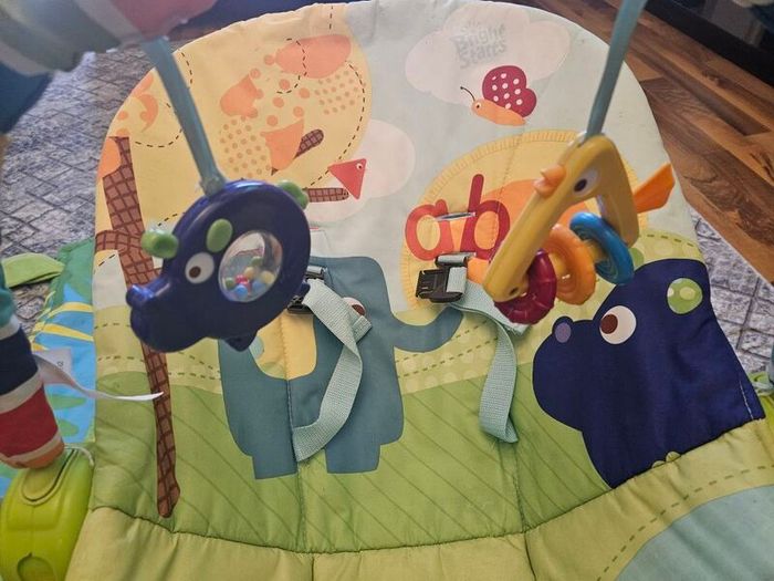 Baby Rocker and Play Mat