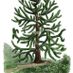 monkey12tree