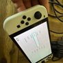 Nintendo Switch Image 4