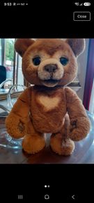 Cubby the curious bear