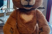 Cubby the curious bear
