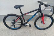 adult bike