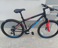 adult bike