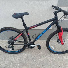 adult bike