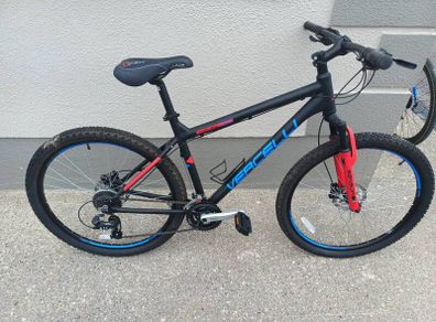 adult bike