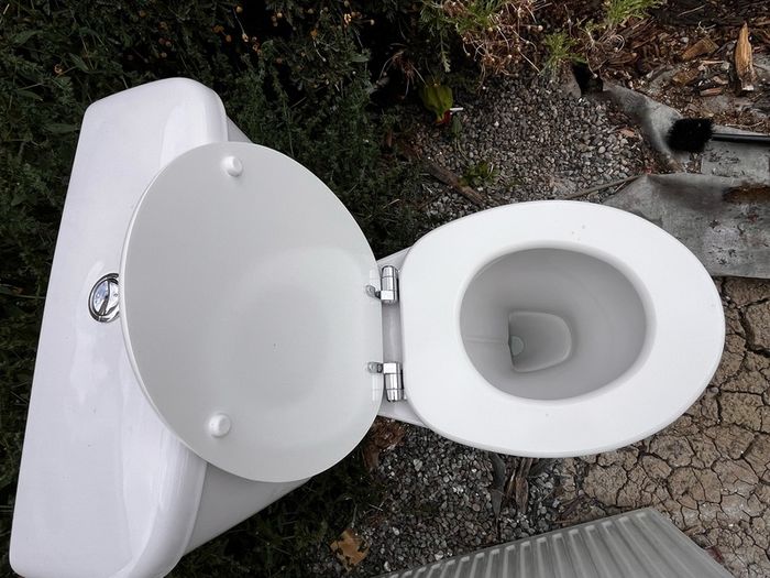 Toilet