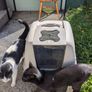 Cat litter box large Image 3
