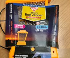 Insects/ Bug Lantern