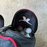 golf Image 6