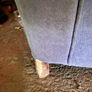 sofa Image 4