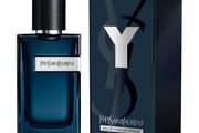 Ysl Y intense