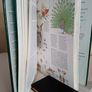 The Mitchell Beazley Family Encyclopedia of Nature by Mitchell Beazley (RB265) Image 5
