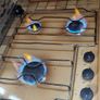 Campervan Image 7