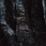 Linea Mans Shirt XL Image 4