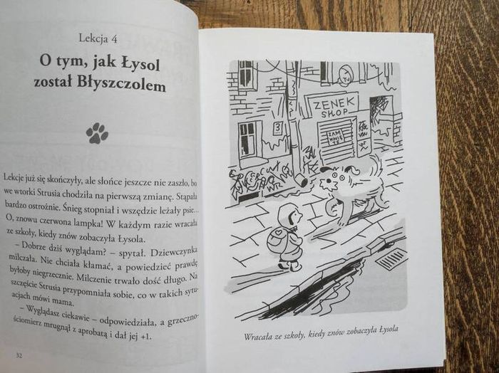 Polish Children's Book, Age 6+